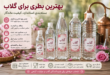 بطری گلاب