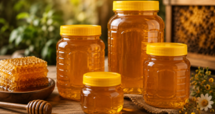 بطری عسل جار PET عسل خرید ظرف عسل ظرف عسل عمده ظرف عسل خالی بسته‌بندی عسل جار پلاستیکی عسل تولیدکننده ظرف عسل
